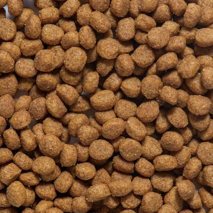 Dogyman Hayashi Daily Deru Deru Rice Skin & Coat and Digestive Health Care 200g