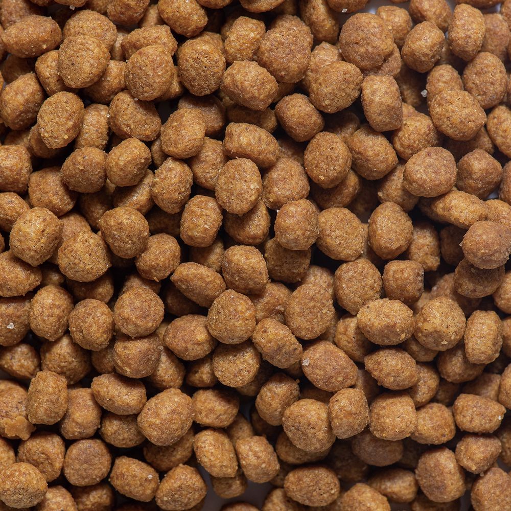 Dogyman Hayashi Daily Delish Food for Digestive Health with Added Fiber 200g