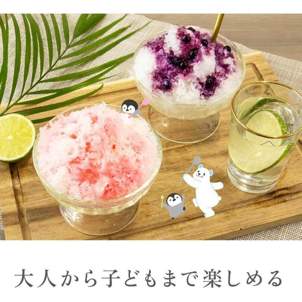 Zephyr Shaved Ice Maker DSI-W100P-BL