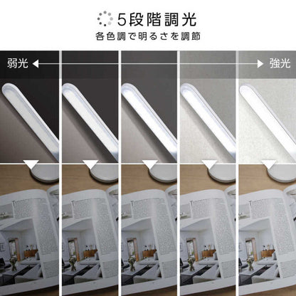 Zepir LED Stand Light ZLT-20B-W 5-Level Dimming 3-Level Color Adjustment White
