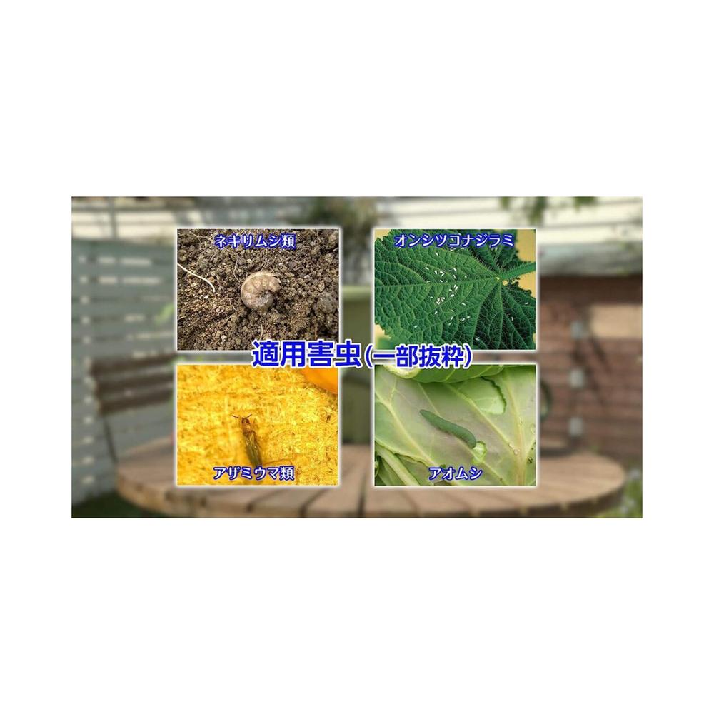 【Pesticide】Sumitomo Chemical Gardening Home Gardening GF Ortho Granules 1kg
