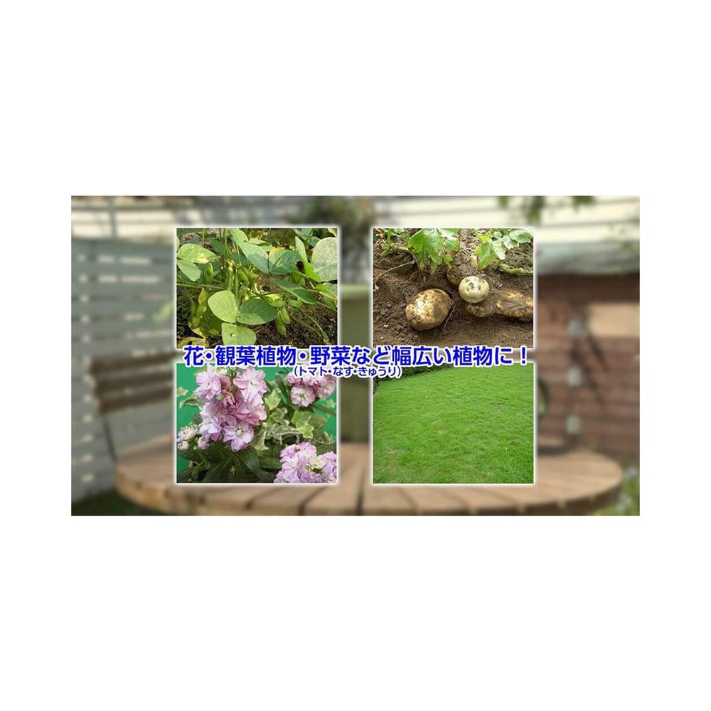 【Pesticide】Sumitomo Chemical Gardening Home Gardening GF Ortho Granules 1kg