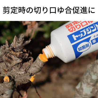Sumitomo Chemical Garden Topzin M Paste 100g
