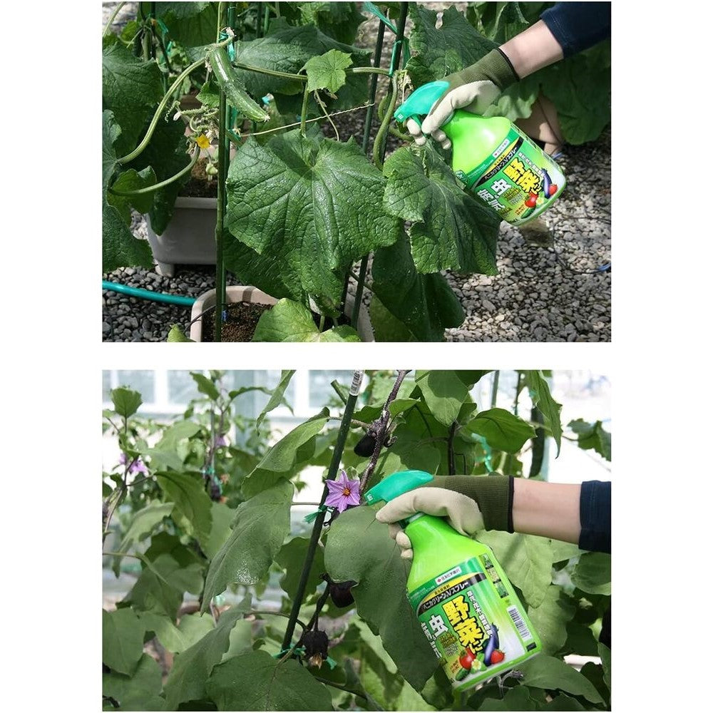 Sumitomo Chemical Gardening Benika Green V Spray 420ml