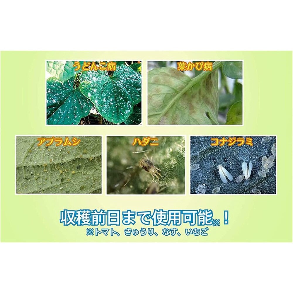Sumitomo Chemical Gardening Benika Green V Spray 1000ml