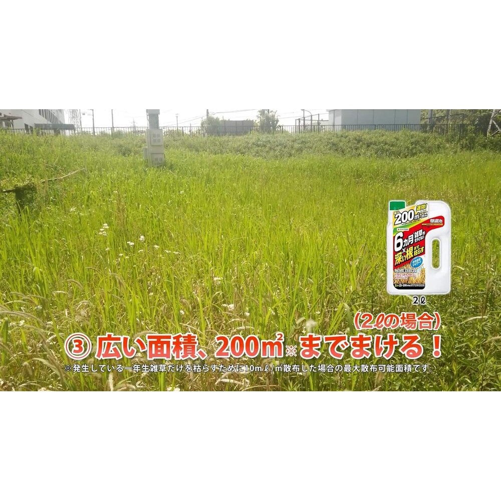 Sumitomo Chemical Garden Weed Killer Mega Long Shower 2L