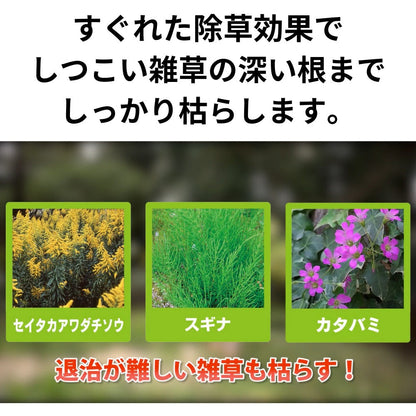Sumitomo Chemical Grass Control Mega Long Shower 4L