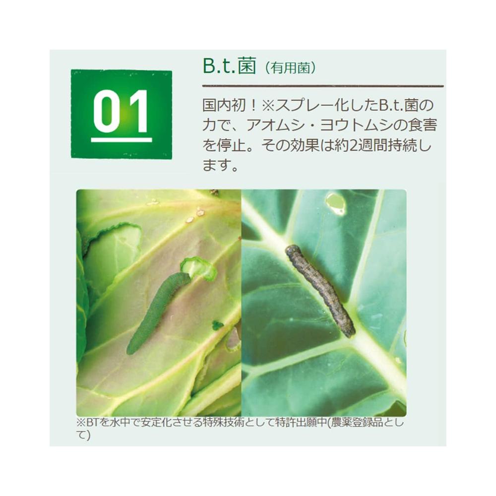 Sumitomo Chemical Benikanna Natural Spray 1000ml
