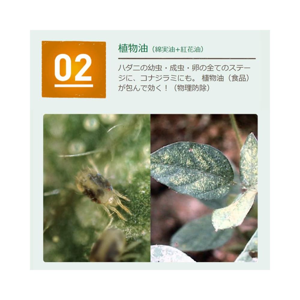 Sumitomo Chemical Benikanna Natural Spray 1000ml