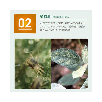 Sumitomo Chemical Benikanna Natural Spray 1000ml