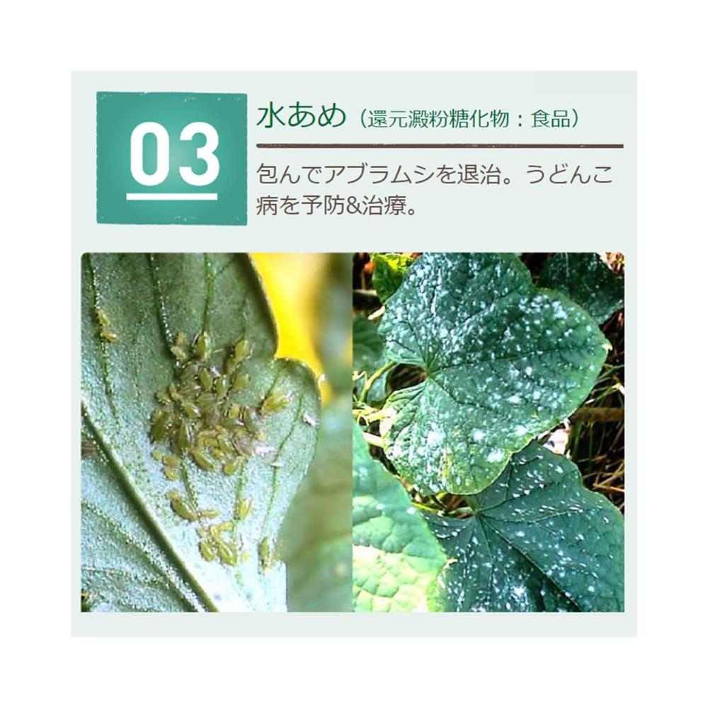 Sumitomo Chemical Benikanna Natural Spray 1000ml