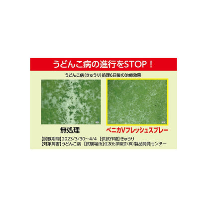 Sumitomo Chemical Benika V Fresh Spray 1000ml