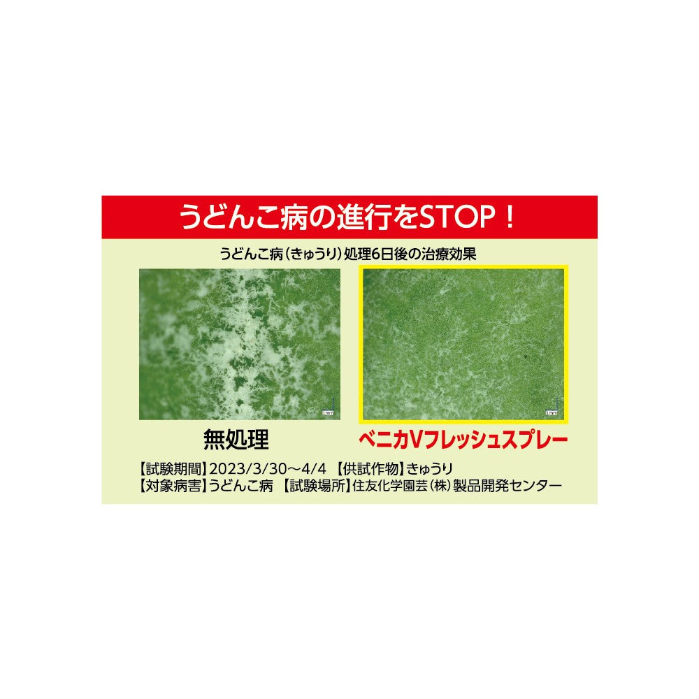 Sumitomo Chemical Gardening Benika V Fresh Spray 420ml