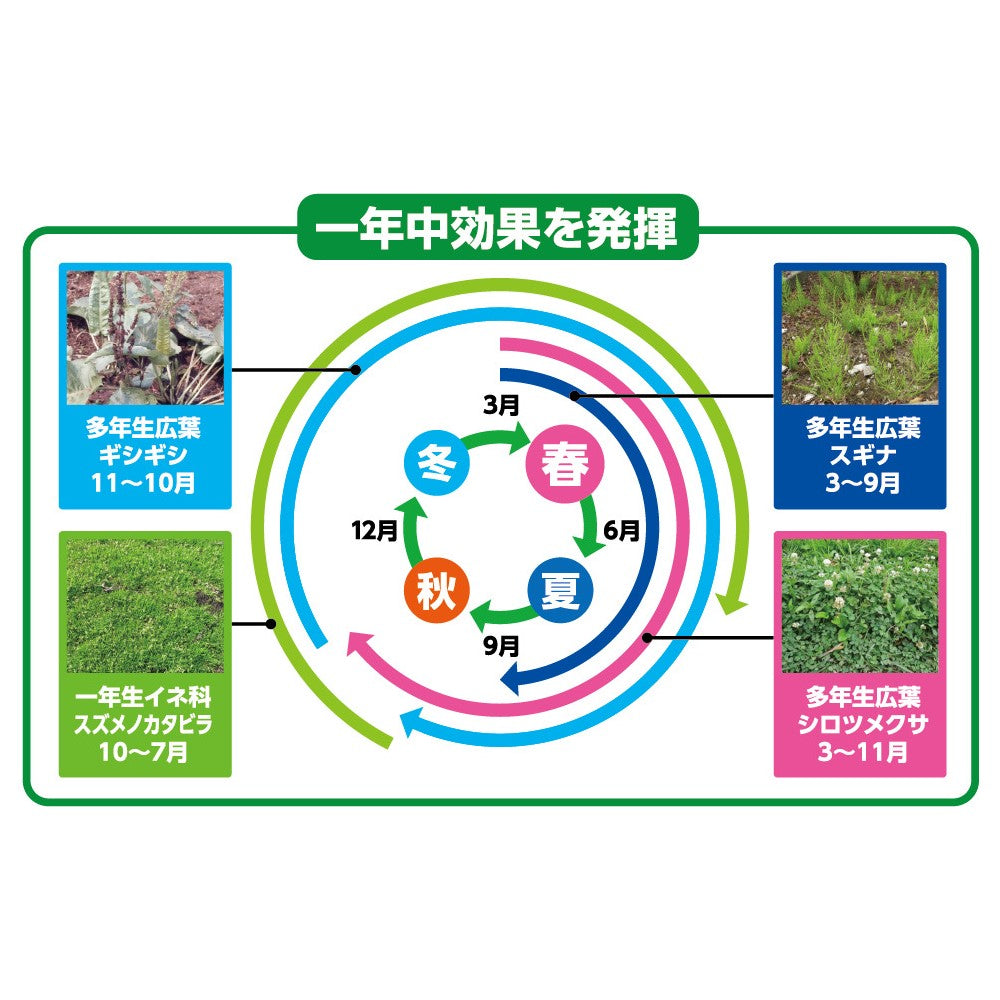Sumitomo Chemical Gardening Weed Killer E Granules 4.5kg