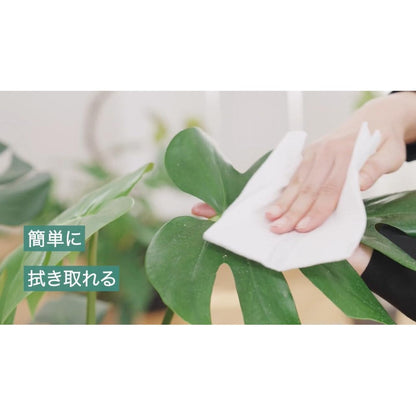 Sumitomo Chemical Gardening My Plants Leaf Cleaning Sheets 10 Sheets