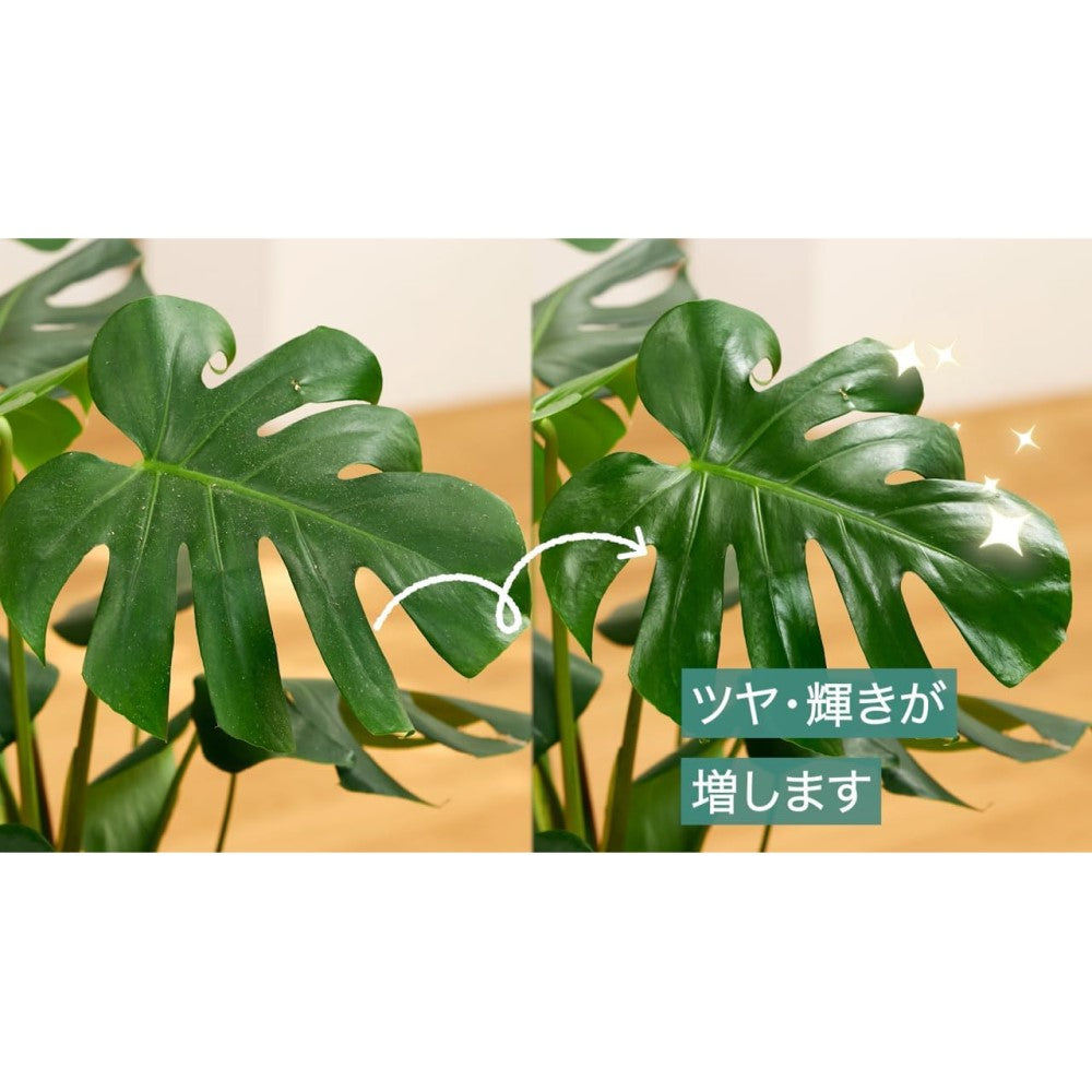 Sumitomo Chemical Gardening My Plants Leaf Cleaning Sheets 10 Sheets