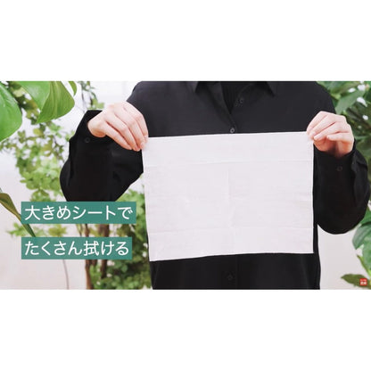 Sumitomo Chemical Gardening My Plants Leaf Cleaning Sheets 10 Sheets