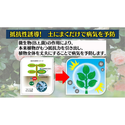 Sumitomo Chemical Gardening My Rose Benica BT Fungicide Granules 500g