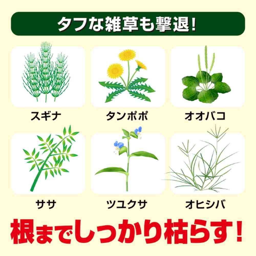 Kinchō Grass Killer Strong Granules 1.5kg