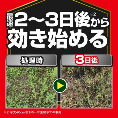Kinchou Grass Eliminator Strong Concentrated Type 250ml