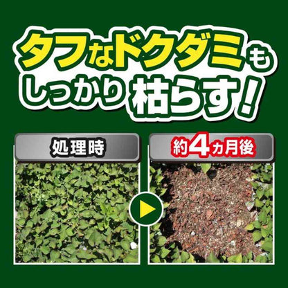Kinchou Grass Eliminator Strong Concentrated Type 250ml
