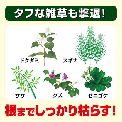Kinchou Grass Eliminator Strong Concentrated Type 250ml