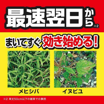 Kinchō Grass Killer Strong Shower 4.2L