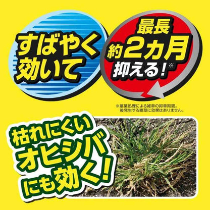Kincho Grass Control Safe Shower 2L (Pesticide)