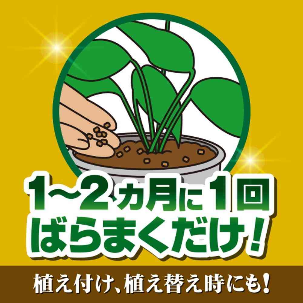 Kinchō X-ENERGY Long Granules 700g