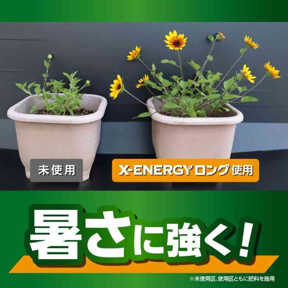 Kinchō X-ENERGY Long Granules 700g