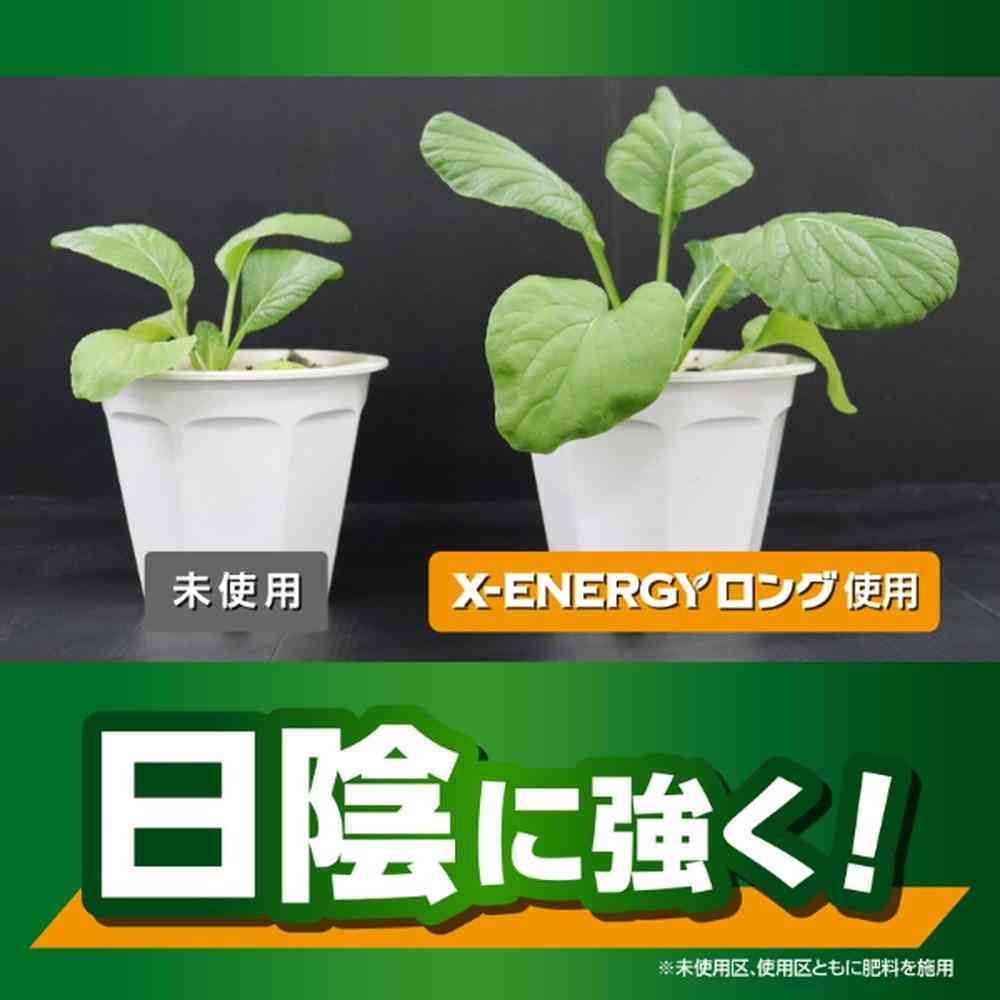 Kinchō X-ENERGY Long Granules 700g