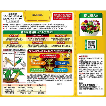 KINCHO X-ENERGY Direct Ampoule Type 35ml x 10