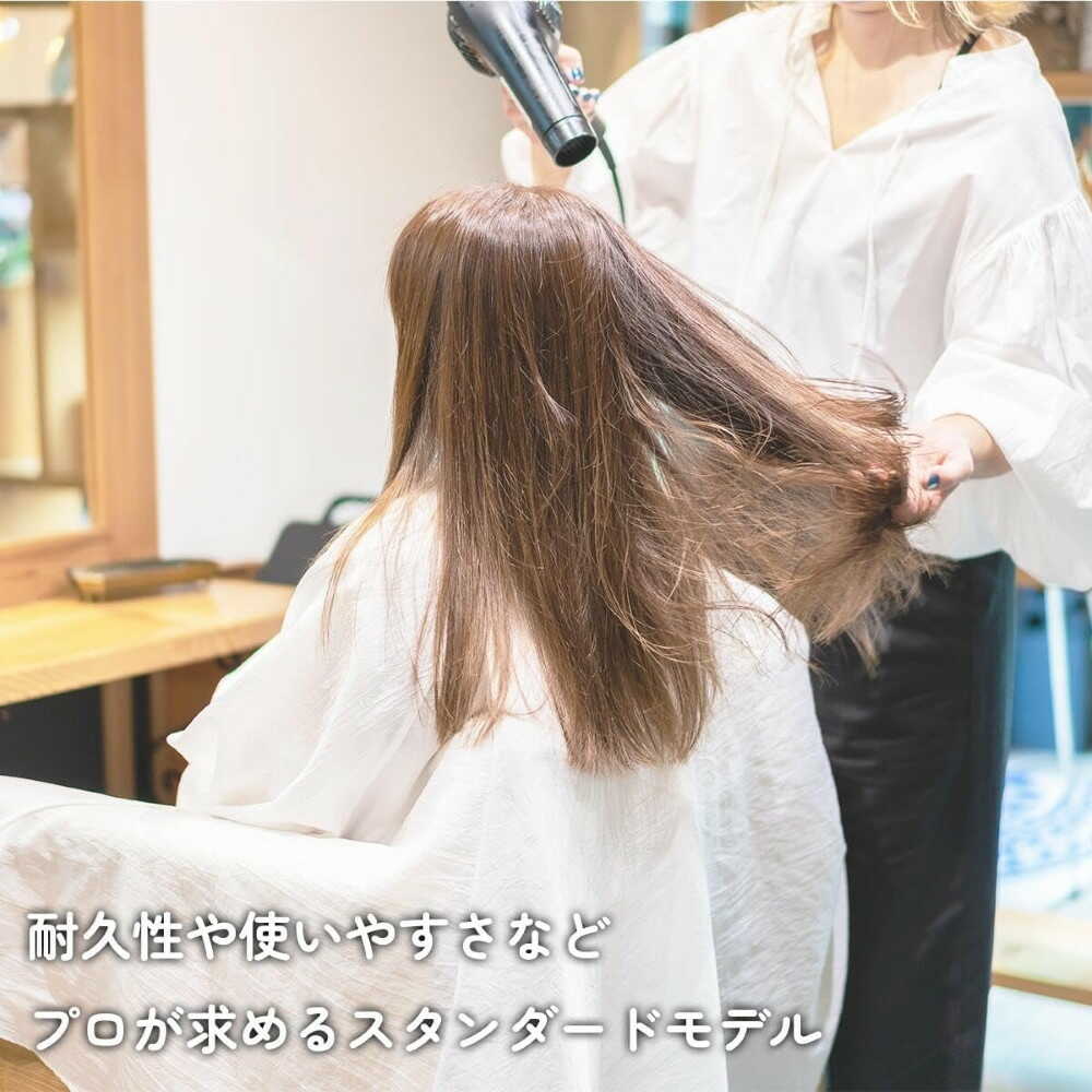 Tescom Nobby Hair Dryer NB1906 White