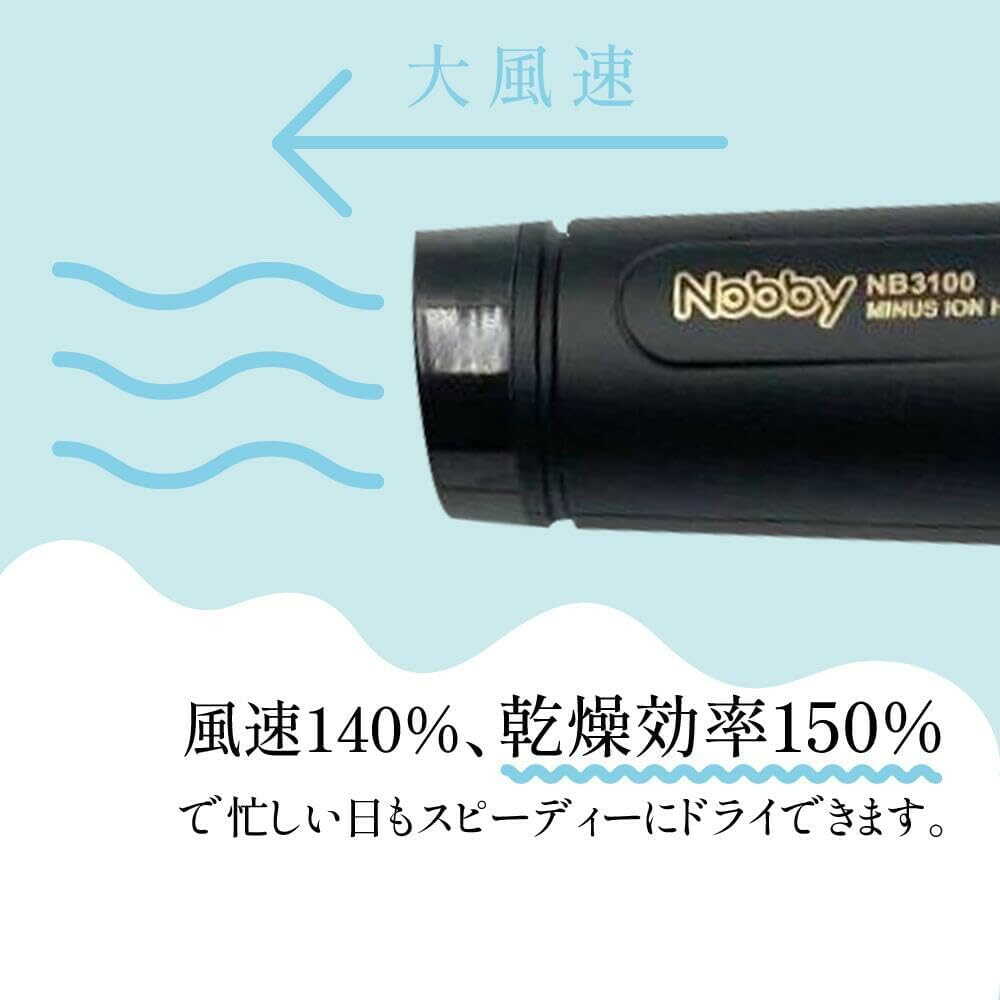 Tescom Nobby Negative Ion Hair Dryer NB3100 Black