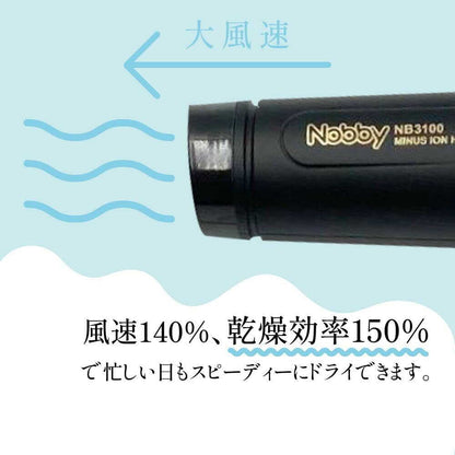 Tescom Nobby Negative Ion Hair Dryer NB3100 Black