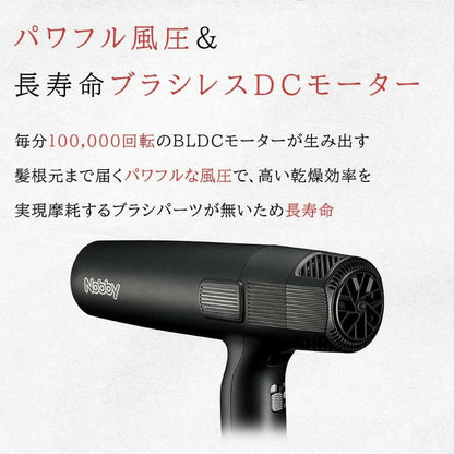 Tescom Nobby Negative Ion Hair Dryer Black NB950-K