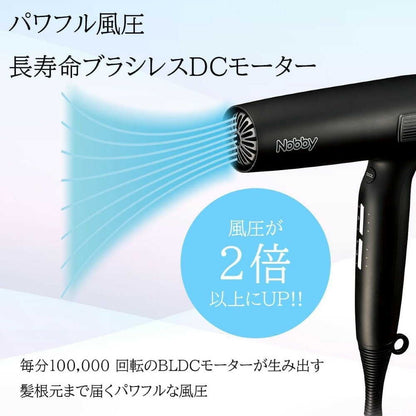 Tescom Nobby Negative Ion Hair Dryer Black NB950-K