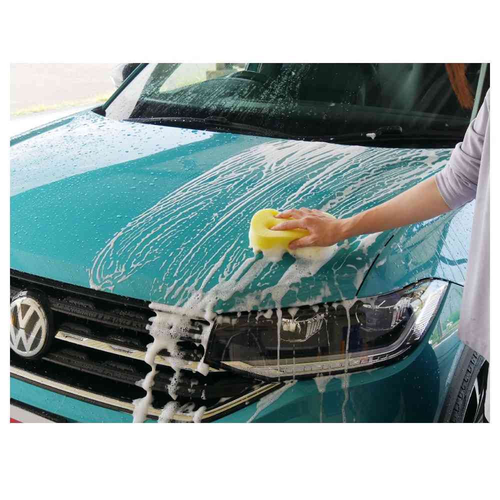 Soft99 ALAUNEN Bachi Bachi Up Wash & Coat 700ml