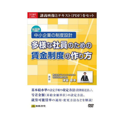 DVD System Design for Small Businesses V86