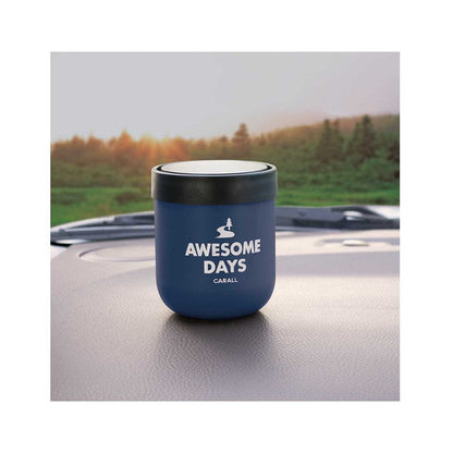 晴香堂 CARALL Awesome Days Gel Water Shower 3557 160ml