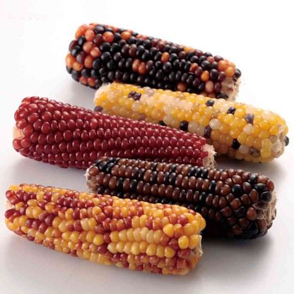 Mini Animan Small Animal Tasty Mini Corn 200g