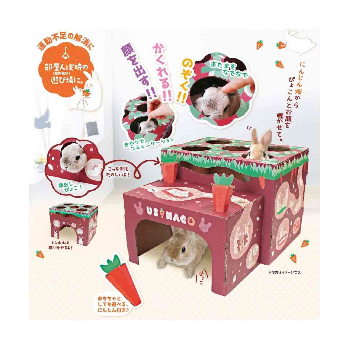 Dogyman Hayashi Bunny House Carrot Field 1 Piece