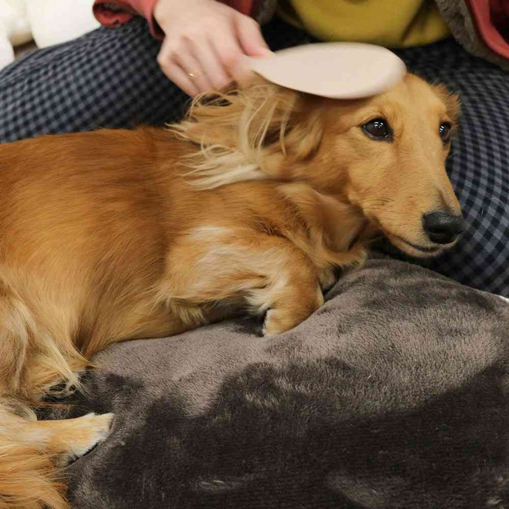 Dogyman Pet Massage Spoon 1 Piece