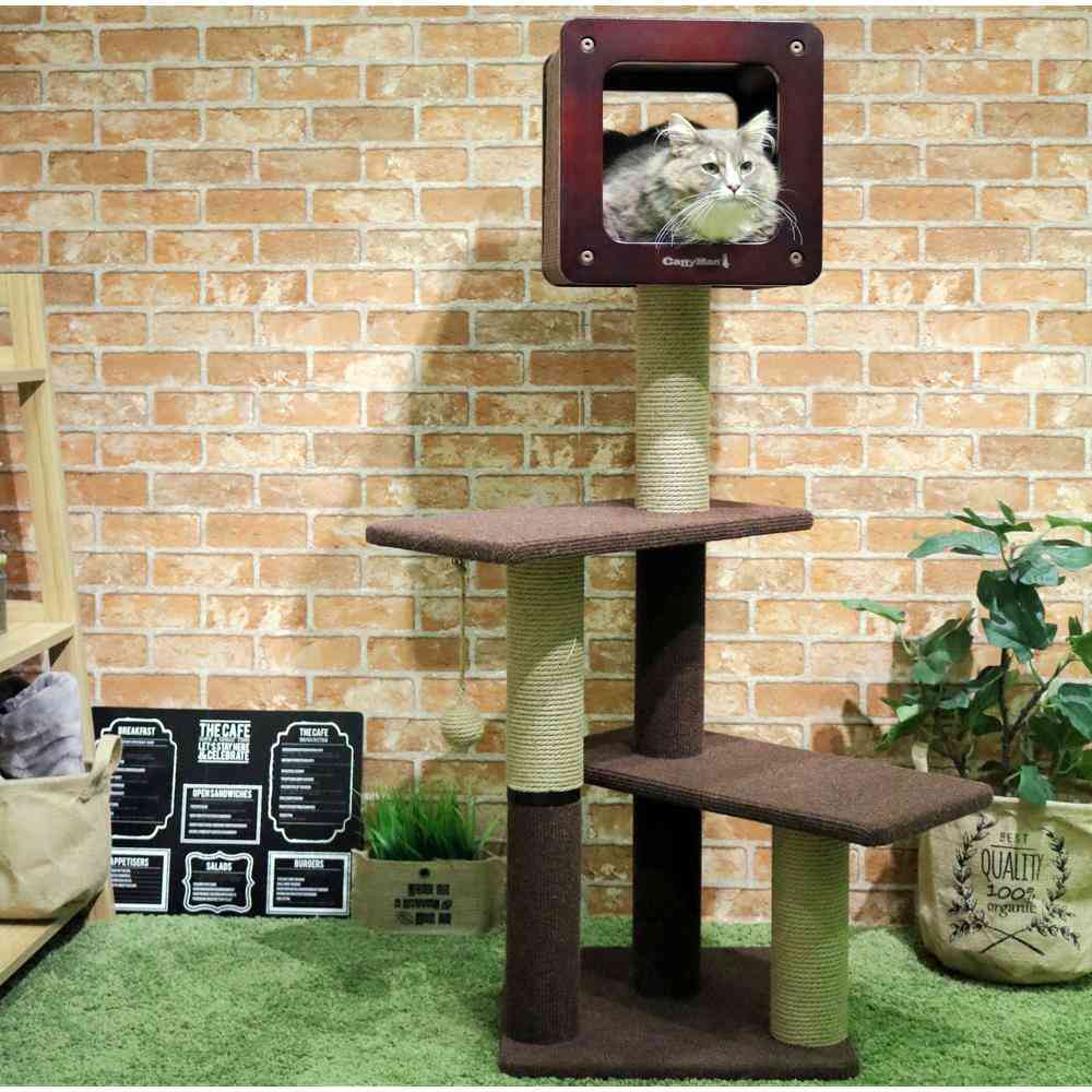 Modern Room Scratch Large H120