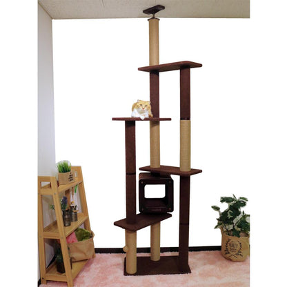 Modern Room Scratch Tower Double