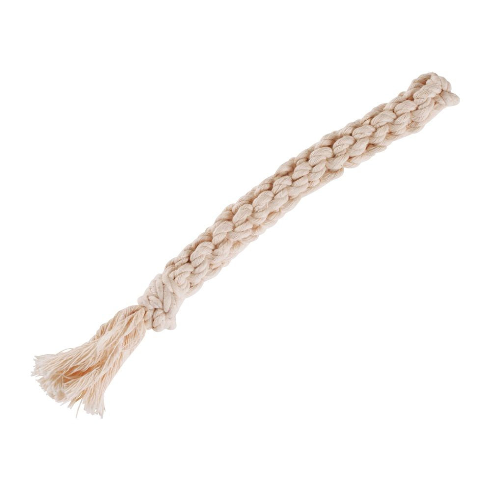 Daily Dental Cotton Stick SS