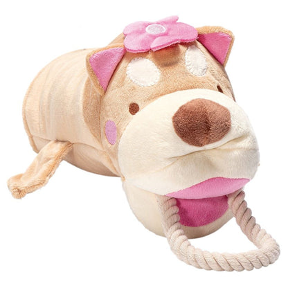 Pape Tomo Pulling Shiba Inu