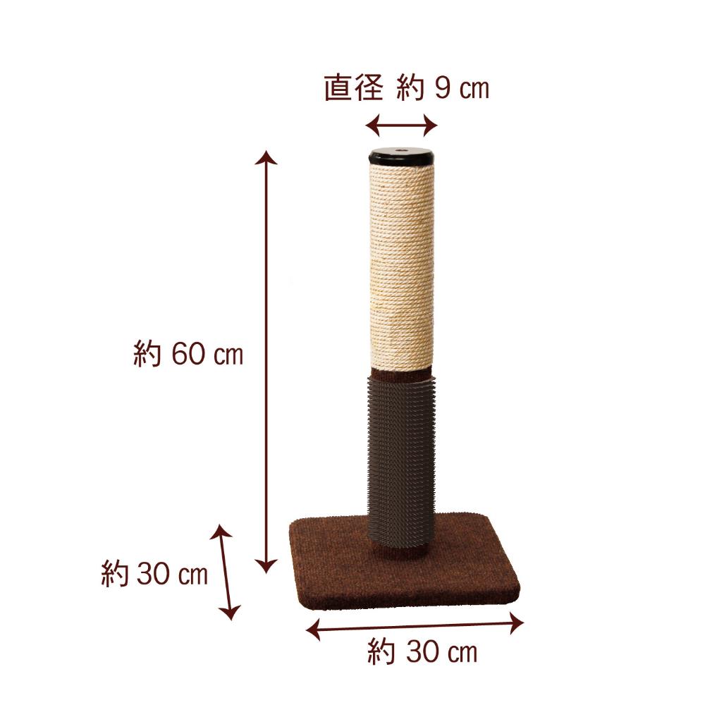 Modern Room Cat Scratching Post