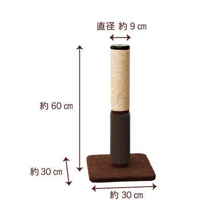 Modern Room Cat Scratching Post