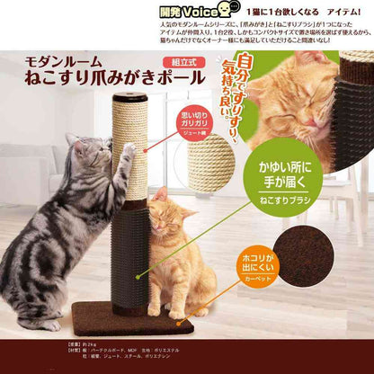 Modern Room Cat Scratching Post